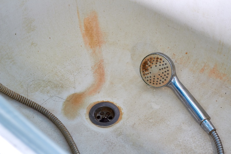 Mold in Bathtub and Shower Head