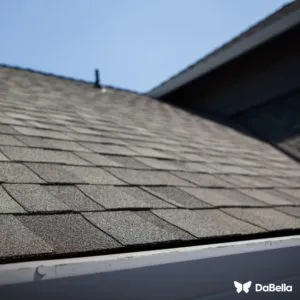 Architectural asphalt  shingle roof