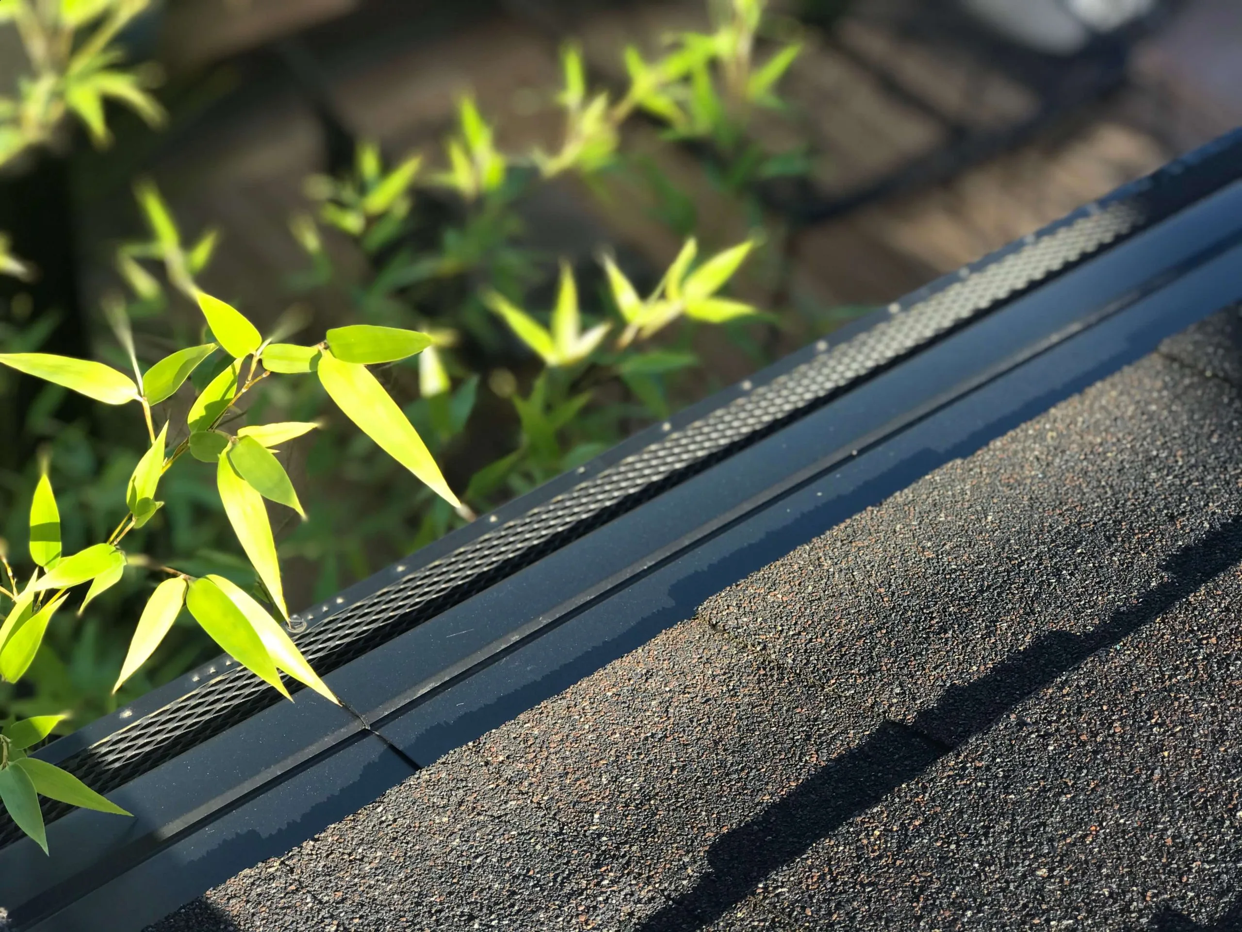 The Best Gutter Guards for Pine Needles 