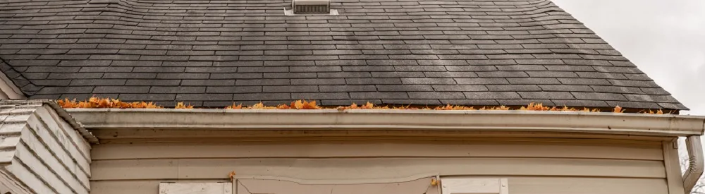 Old roof with granule loss and lifting shingles