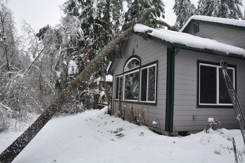 Does Homeowners Insurance Cover Snow Damage? 