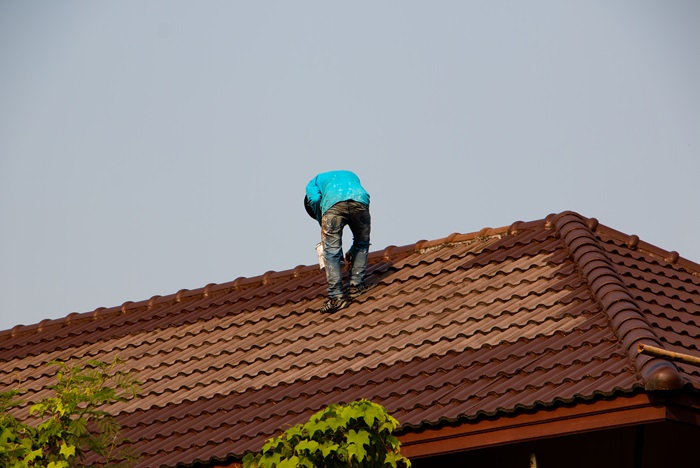 Can You Paint Roof Shingles? 