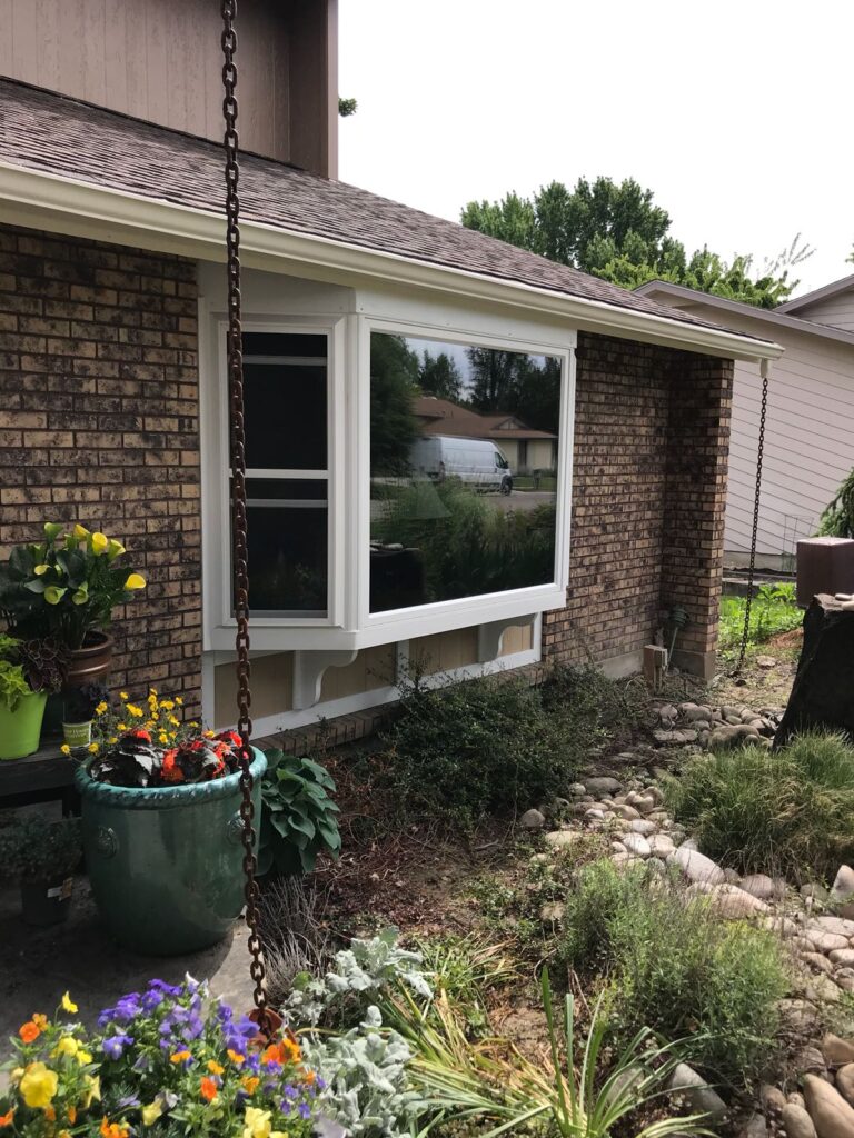 Glasswing Bay Window