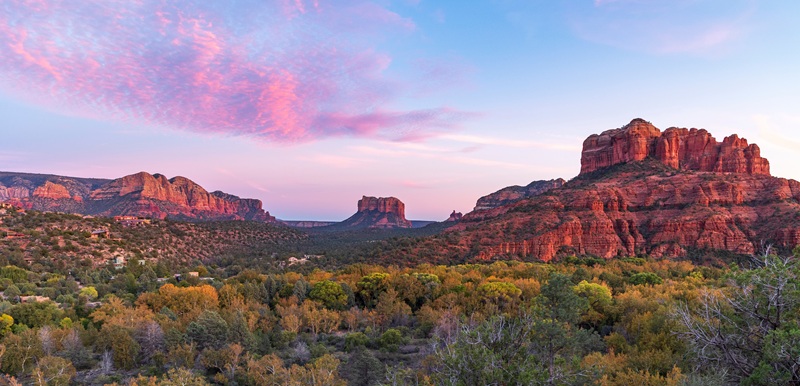 Arizona desert